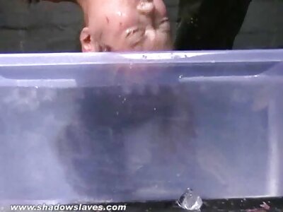 المولاتوس والنساء السود يقولون أحلى الجبناء الافلام الاباحية المترجمة ، الآن أتحقق