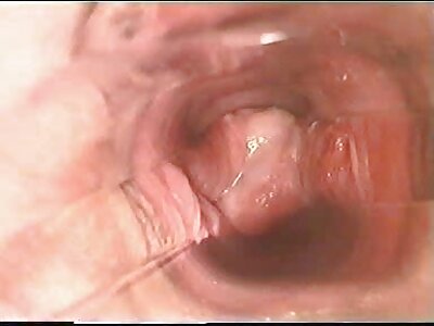 مدرب يدعي سكس مترجم باللغه العربيه حلق كس